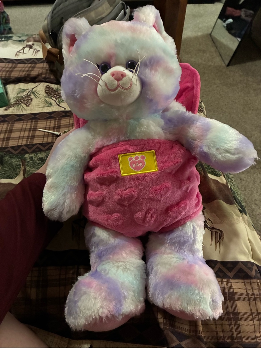 Build a bear-Plush Multicolor Tie-Dye stuffed Cat in Pink Heart Carrier